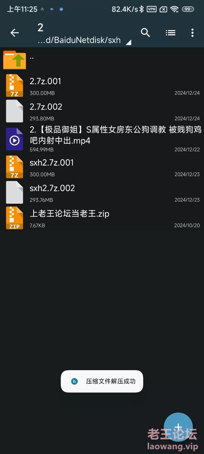 Screenshot_2024-12-24-11-26-46-207_com.fileunzip.zxwknight.jpg