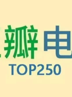 2024评分最高250部4k电影